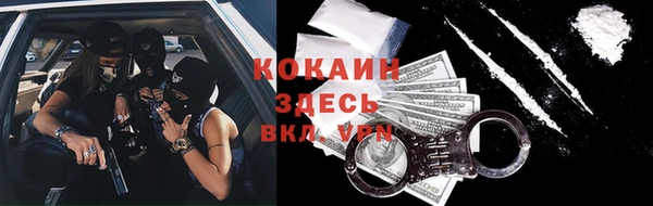прущие грибы Белоозёрский
