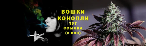 соль курить ск Белокуриха
