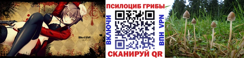 kraken вход  площадка какой сайт  Псилоцибиновые грибы Magic Shrooms  Бородино 